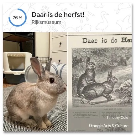 Google Arts and Culture Pet Portraits App