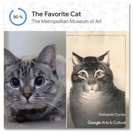 Google Arts and Culture Pet Portraits App