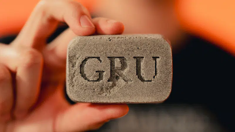 Hotel Gru Space Moon