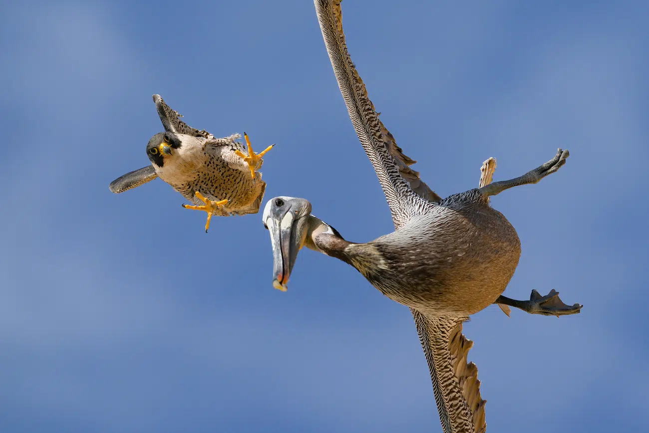 HIPA Photography Contest Winners