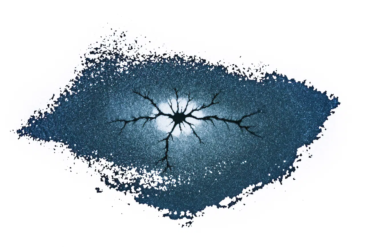 HIPA Photography Contest Winners