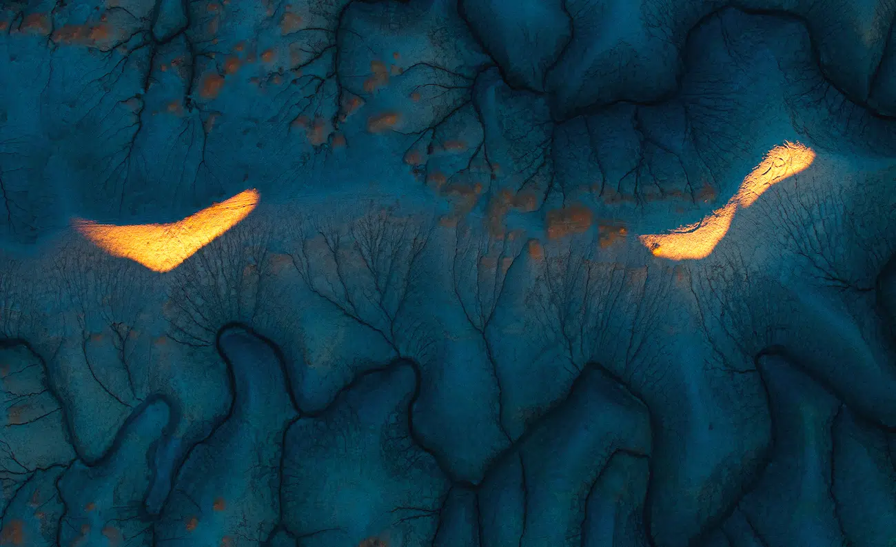 HIPA Photography Contest Winners