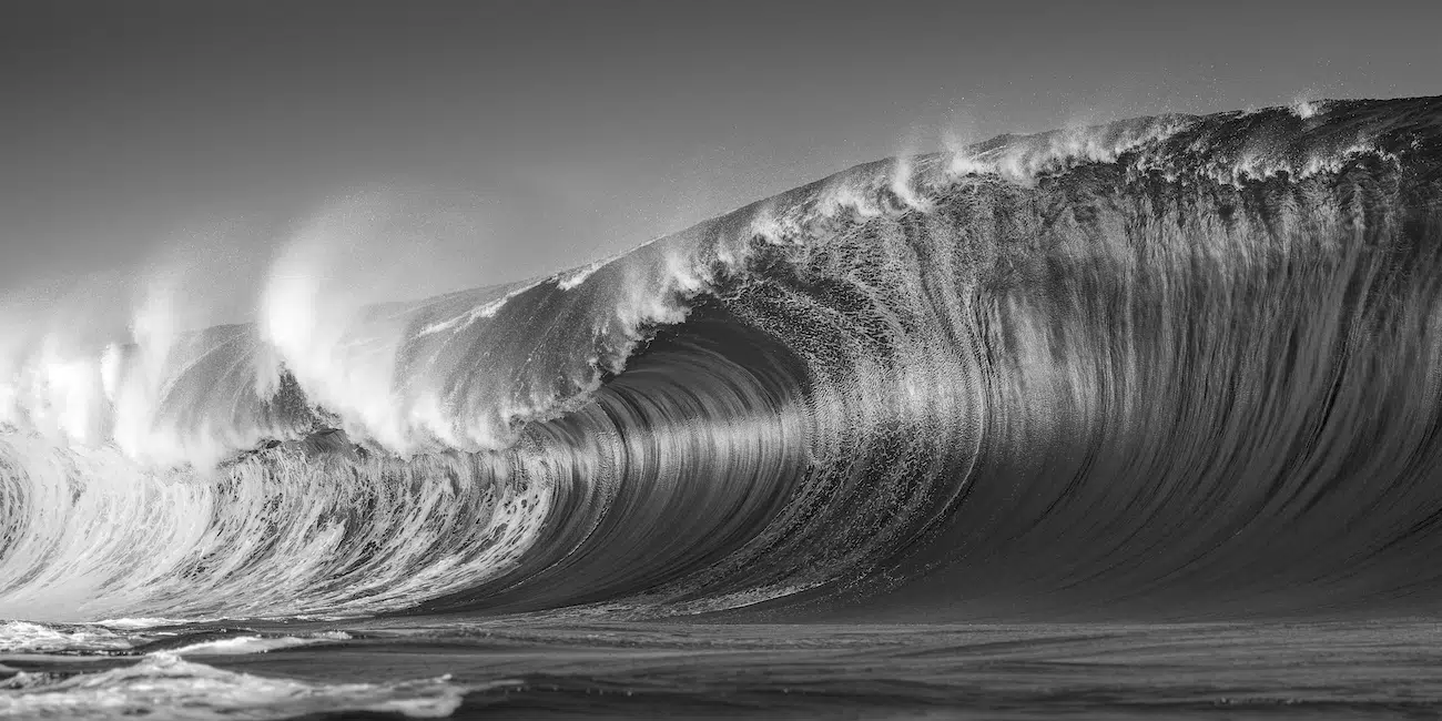 HIPA Photography Contest Winners