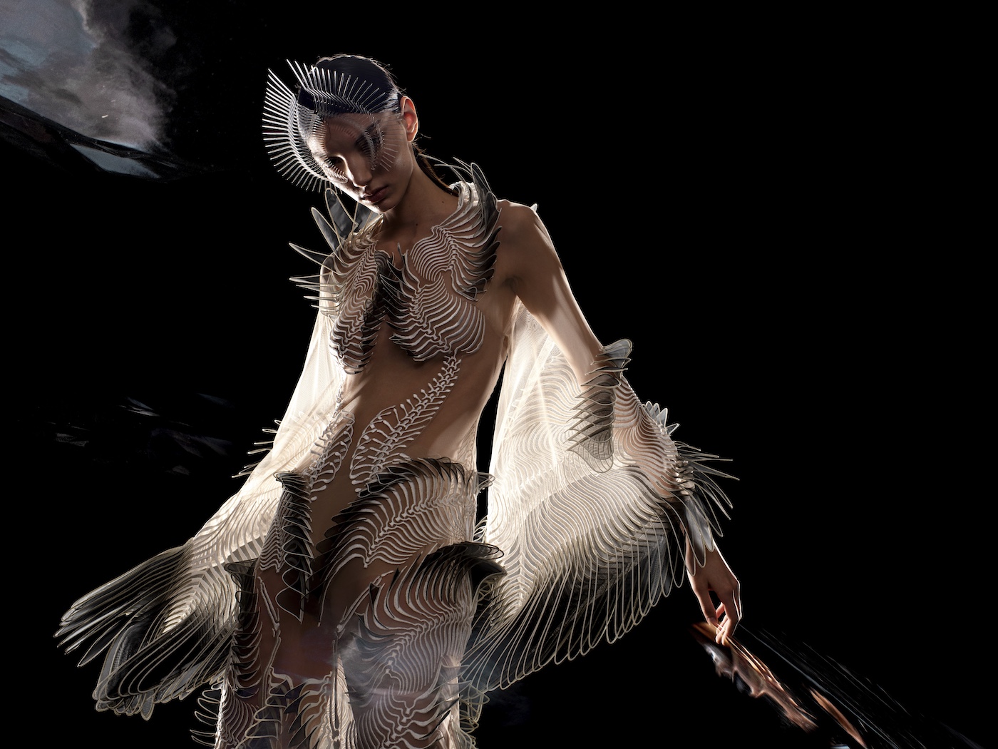 Iris van Herpen: Sculpting the Senses at the Brooklyn Museum
