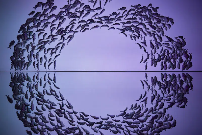 Kohler Pearlized Harry Nuriev Installation