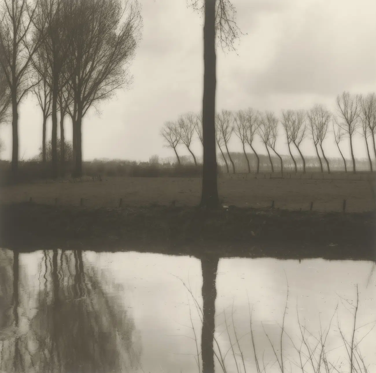 Photograph included in the &lsquo;Lynn Geesaman&rsquo; exhibition at Yancey Richardson Gallery in New York, NY