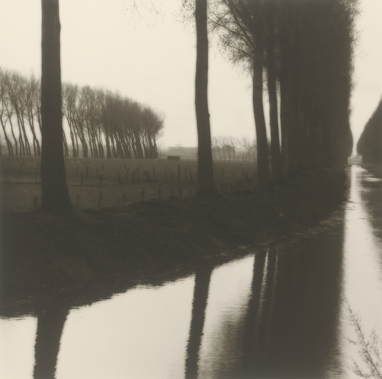 Photograph included in the &lsquo;Lynn Geesaman&rsquo; exhibition at Yancey Richardson Gallery in New York, NY