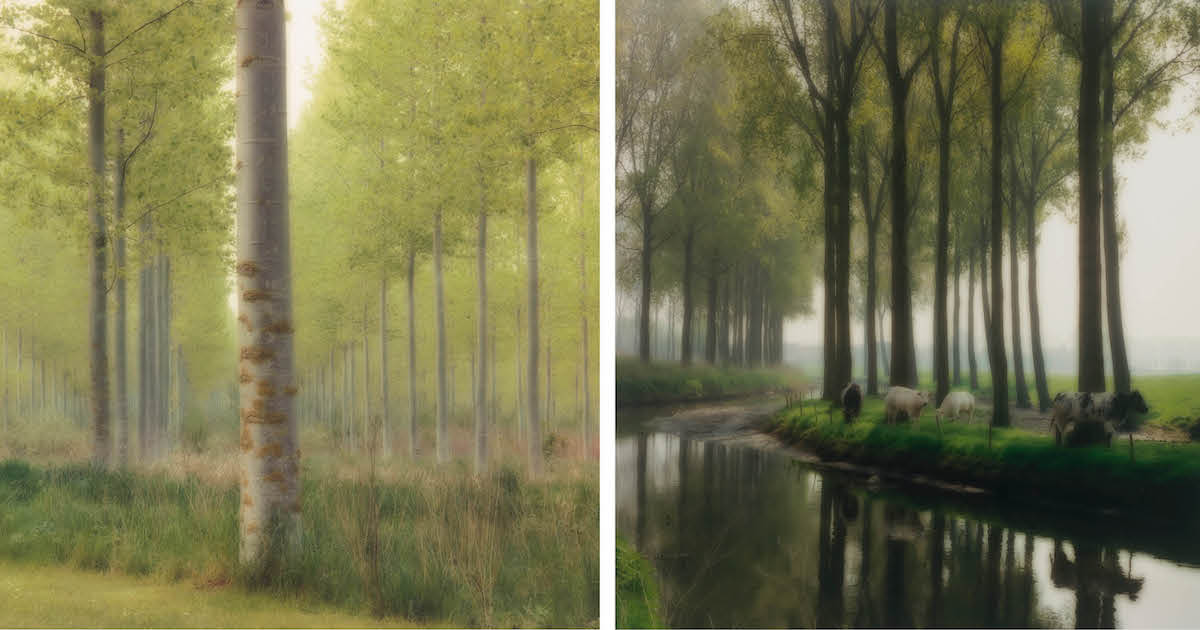 Hazy Dreamlike Photos Reflect Humankind’s Complicated Relationship With Nature
