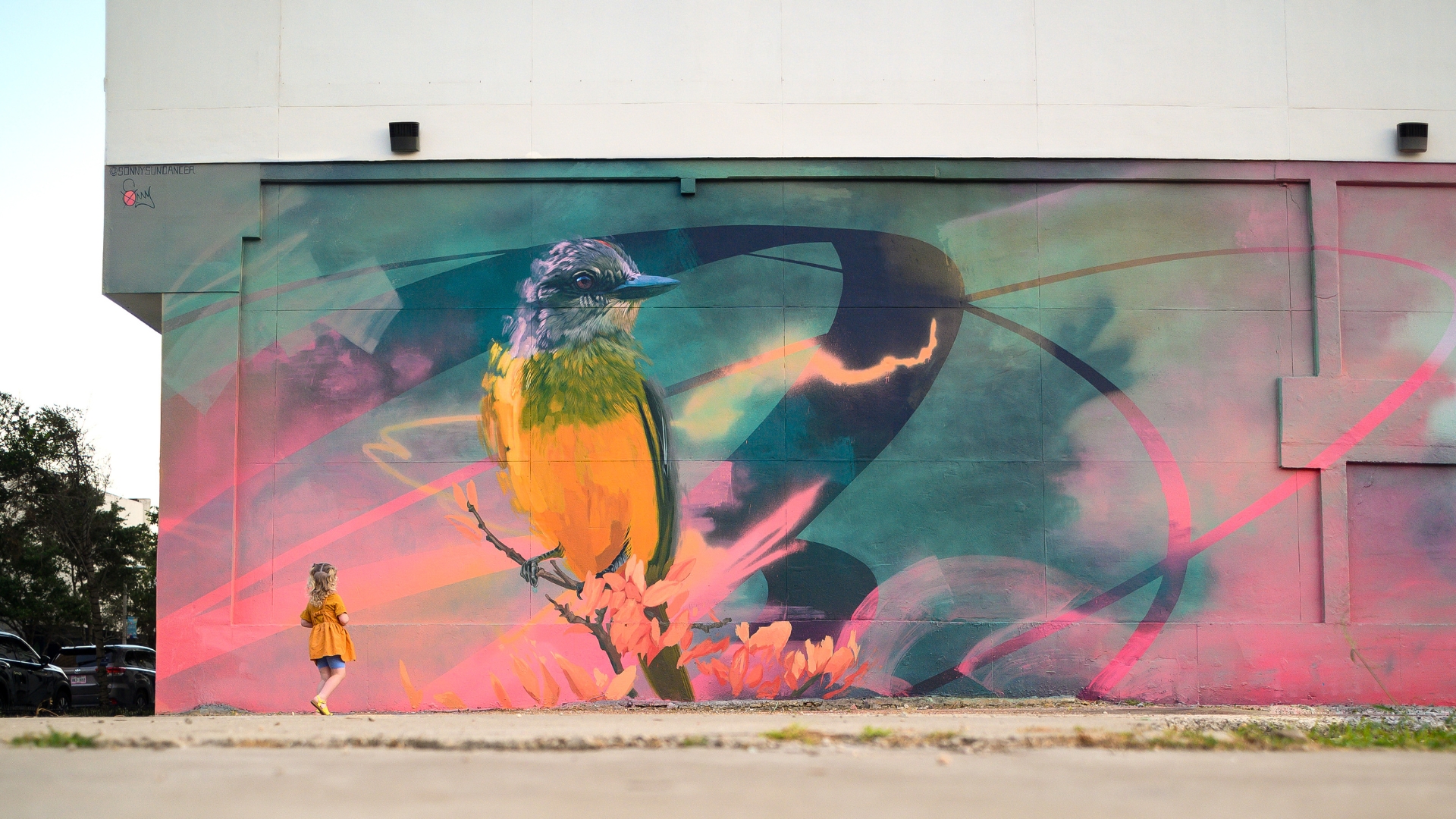 &lsquo;Wanderer,&rsquo; Corpus Christie, TX, 2024