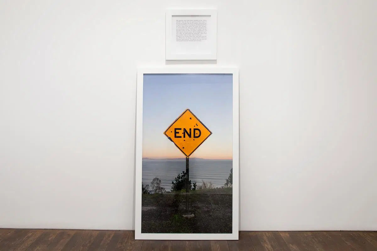 &lsquo;My Mother, My Cat, My Father,&rsquo; 2017. Digital photograph, aluminum, text, and wooden frames. (Courtesy of the artist and Perrotin)