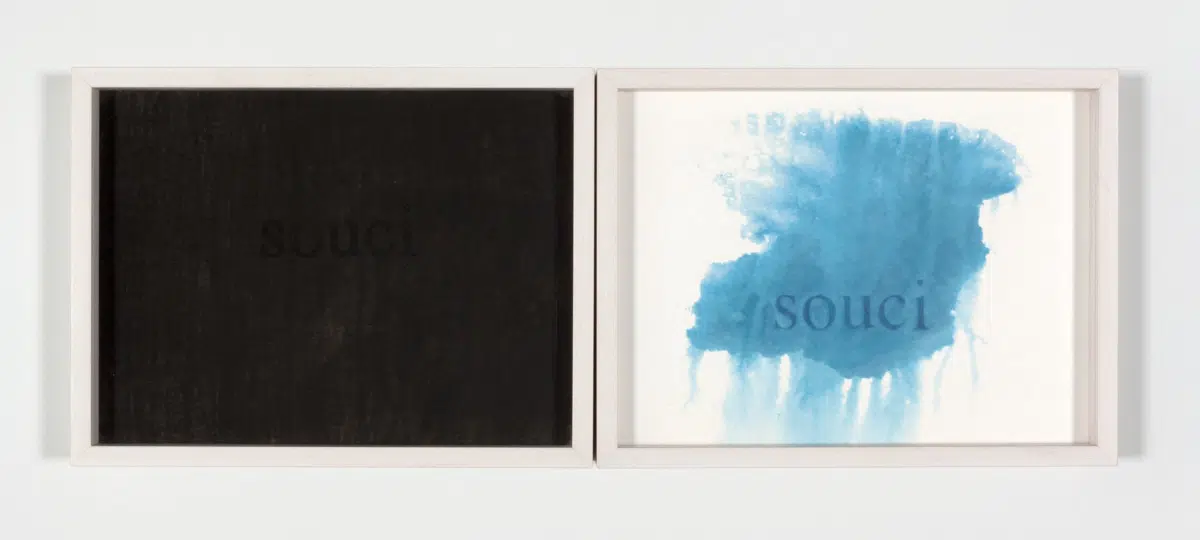 &lsquo;Souci (diptych),&rsquo; 2013. Cyanotype and carbon print. (Photo: Steven Probert, courtesy of the artist and Paula Cooper Gallery)