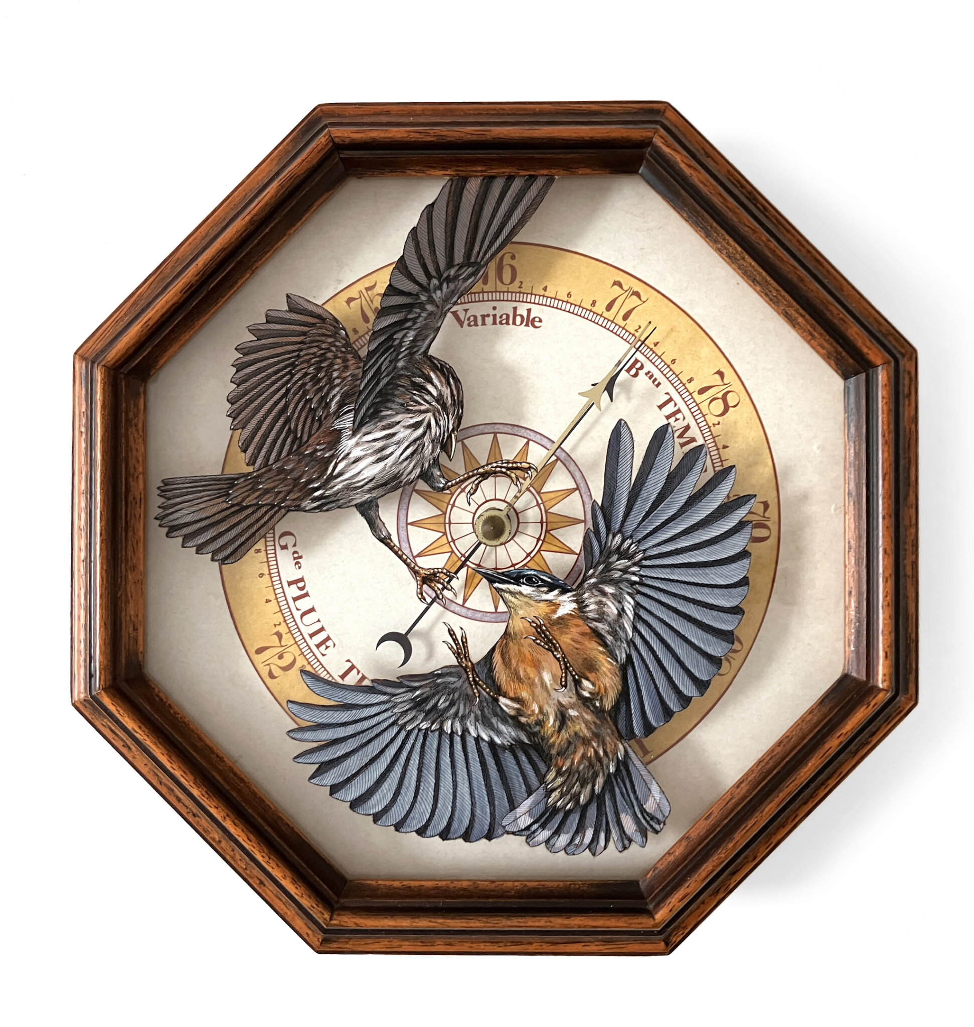 Bird painting on antique navigational tools by artist Steeven Salvat