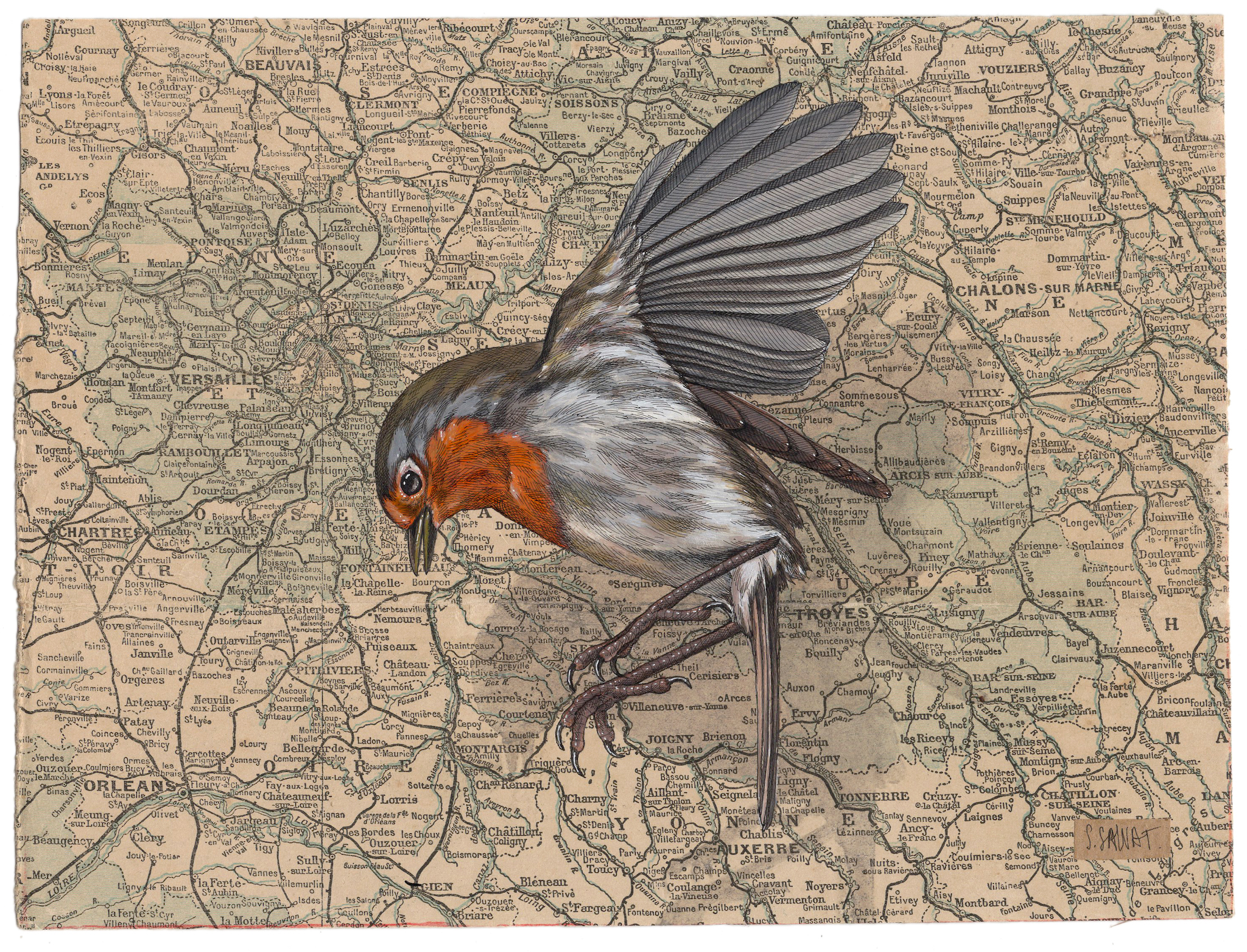 Bird painting on antique navigational tools by artist Steeven Salvat