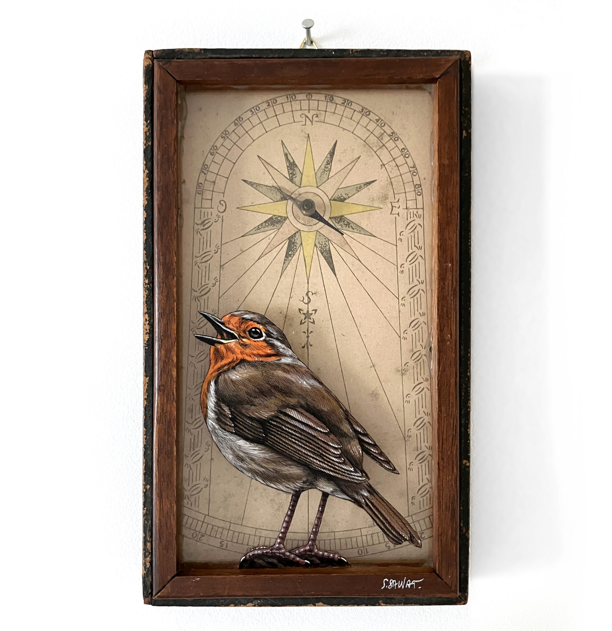 Bird painting on antique navigational tools by artist Steeven Salvat