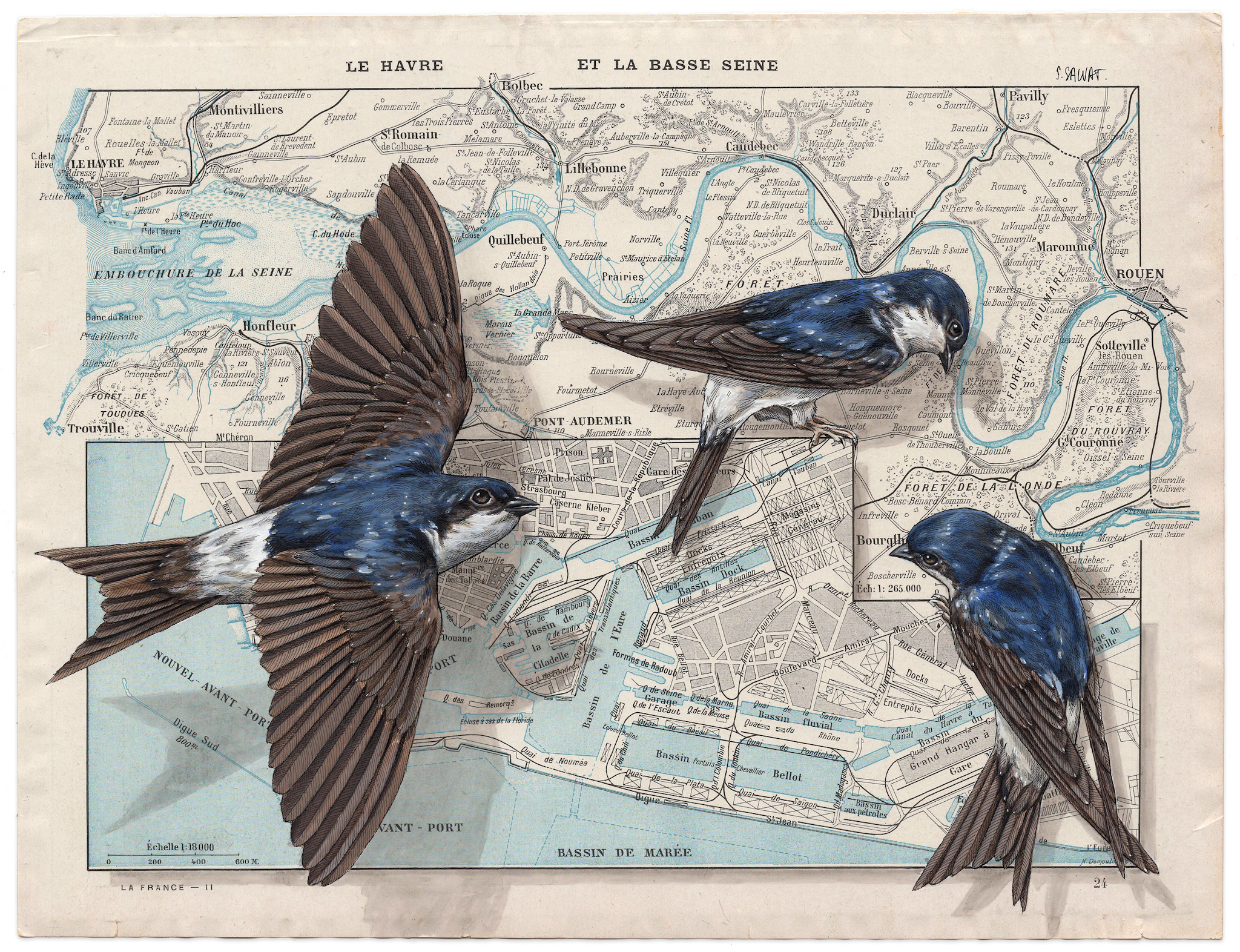 Bird painting on antique navigational tools by artist Steeven Salvat