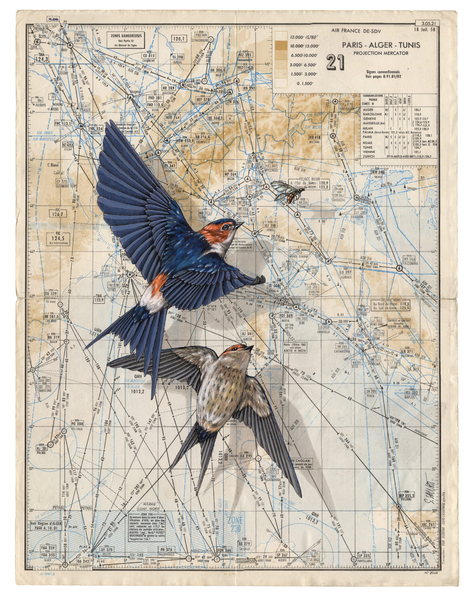 Bird painting on antique navigational tools by artist Steeven Salvat
