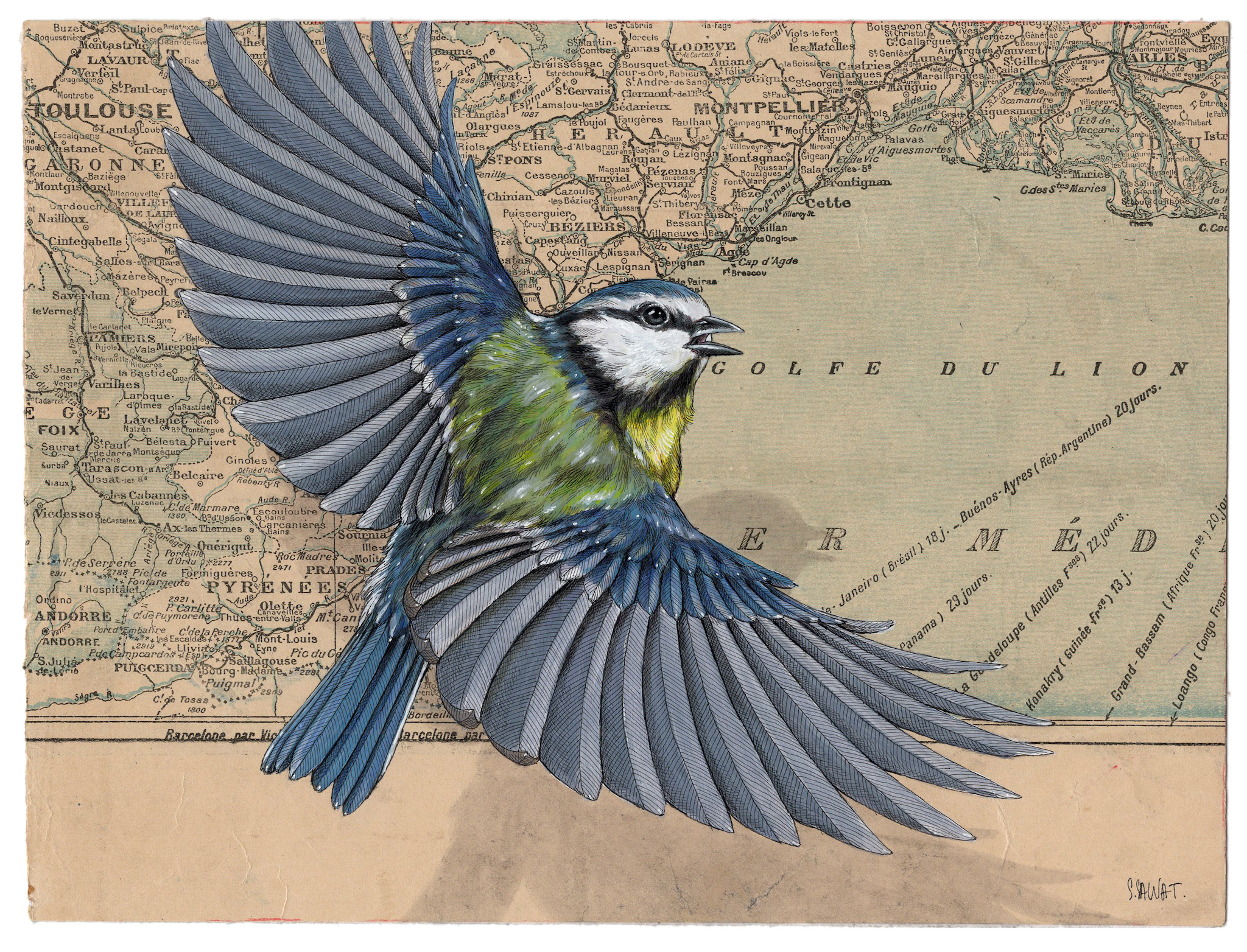 Bird painting on antique navigational tools by artist Steeven Salvat