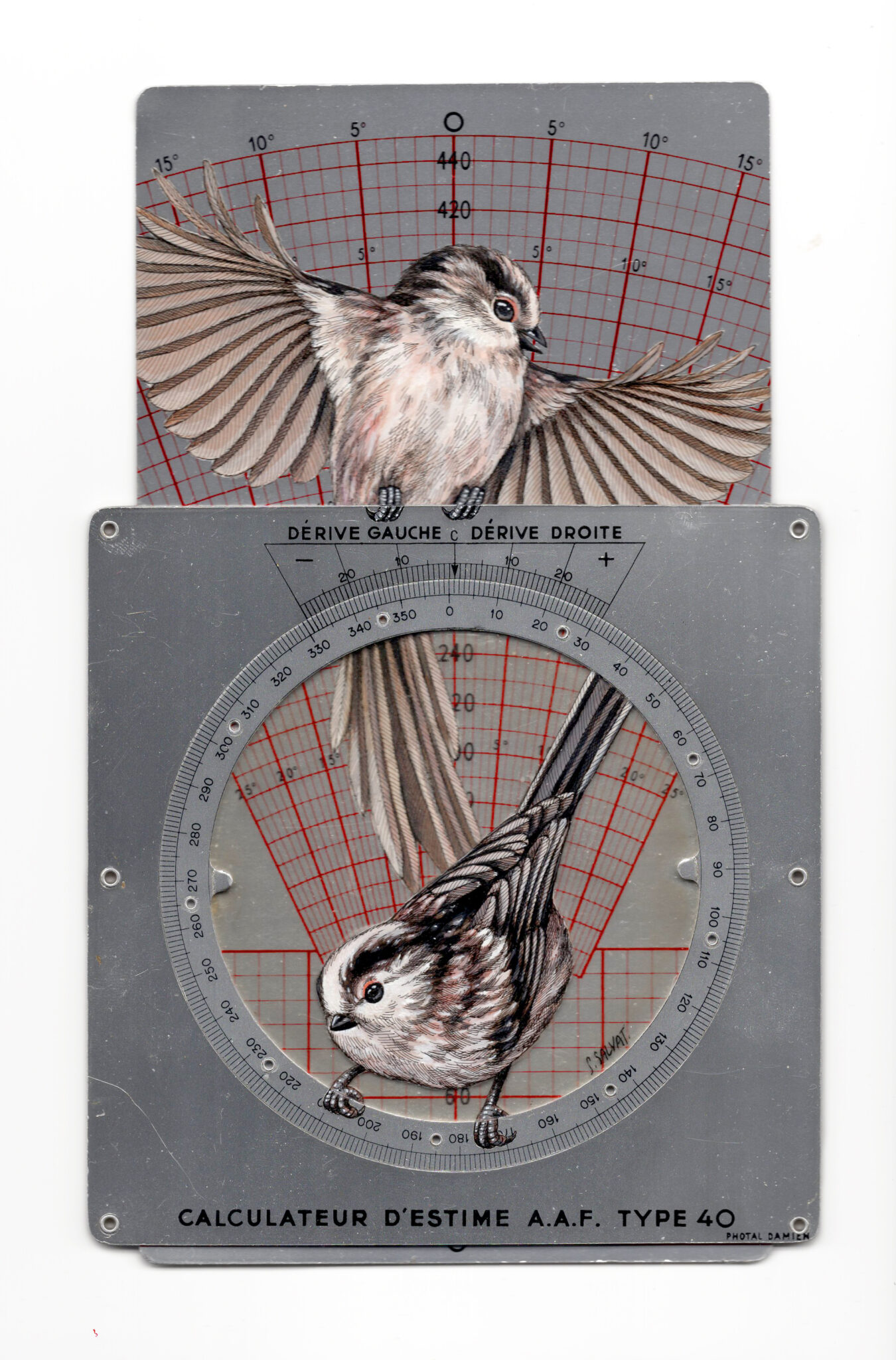 Bird painting on antique navigational tools by artist Steeven Salvat