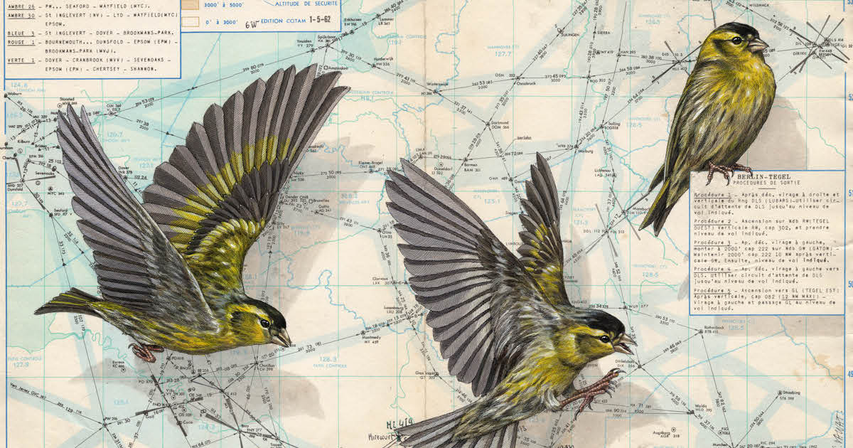 Artist Honors Poetic Bird Migrations by Drawing and Painting Them on Vintage Maps