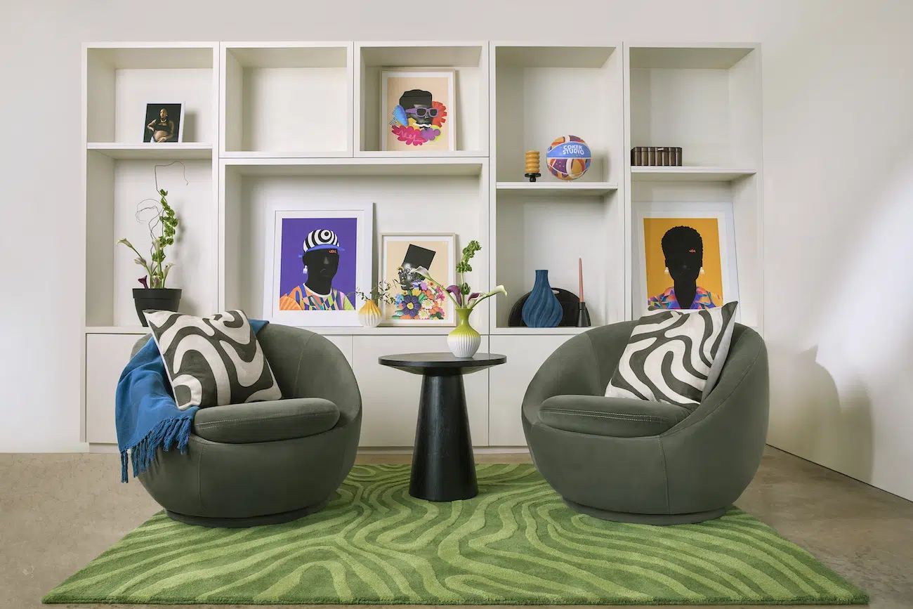 Interior shot of Temi Coker x Walmart pillows in a living room