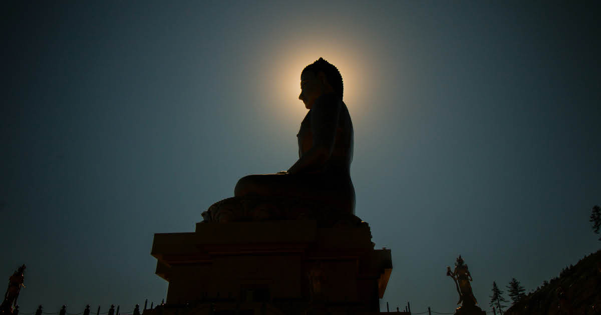 Study Reveals That Living Things Emit a Faint Light That Extinguishes Upon Death