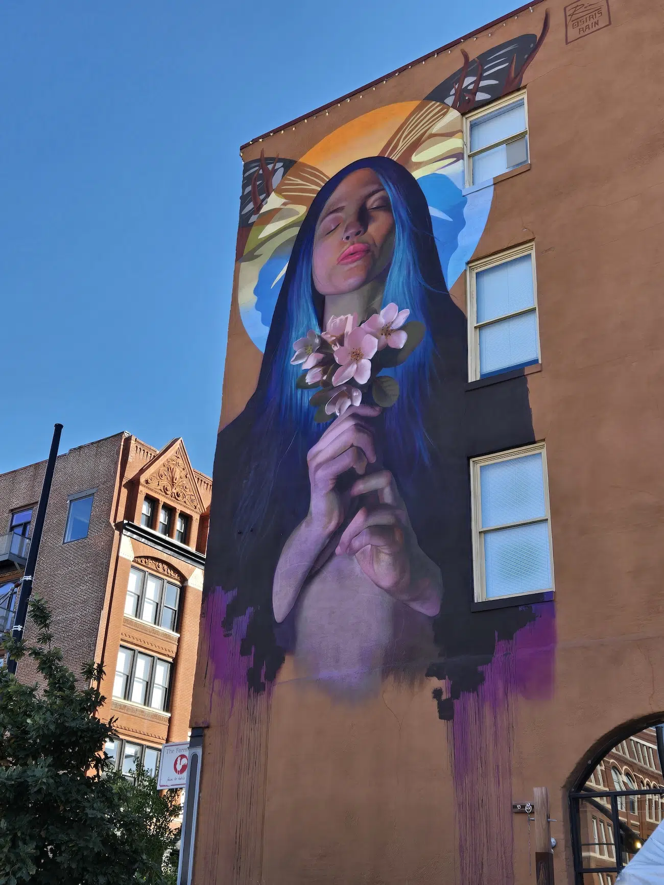 SpraySeeMo in Kansas City, MO