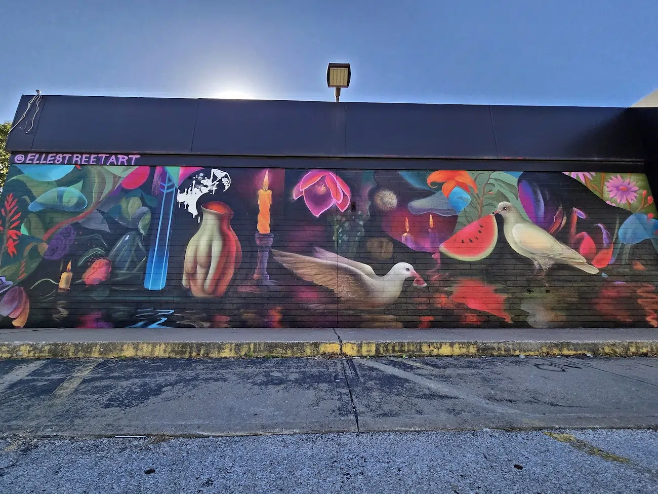 SpraySeeMo in Kansas City, MO