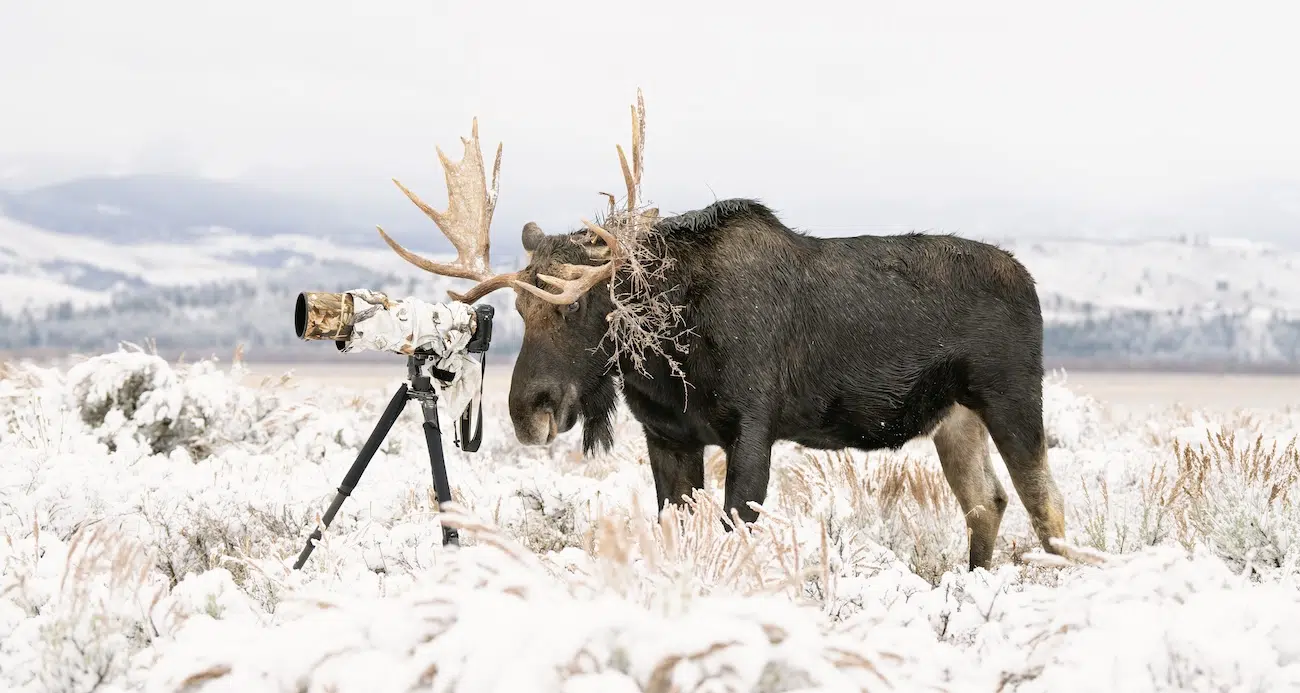 Winners of the 2026 WPNA Awards