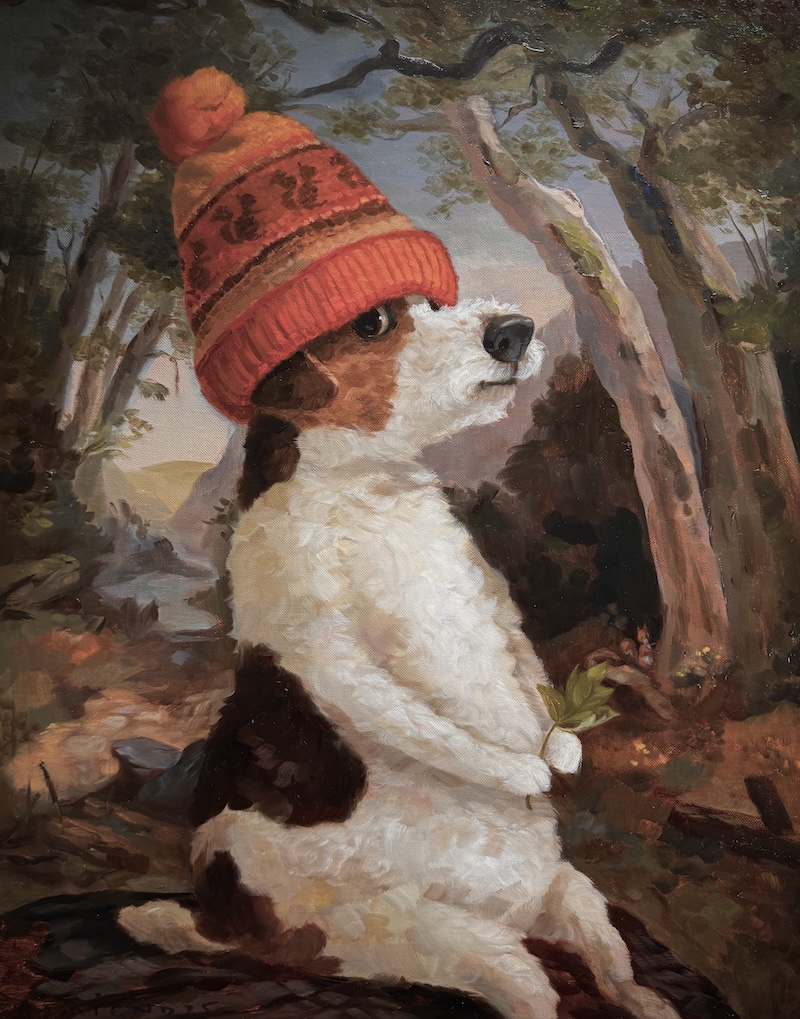 jack russel in a beanie