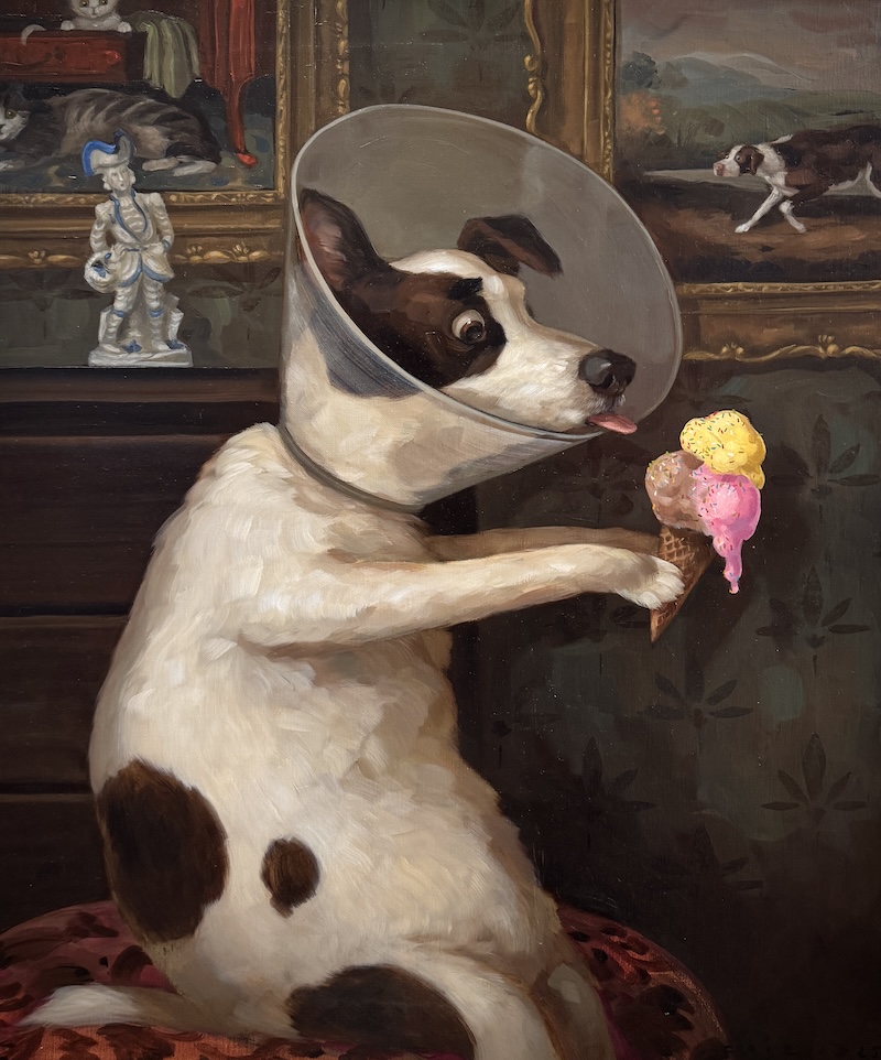 dog with a cone trying to lick an ice cream