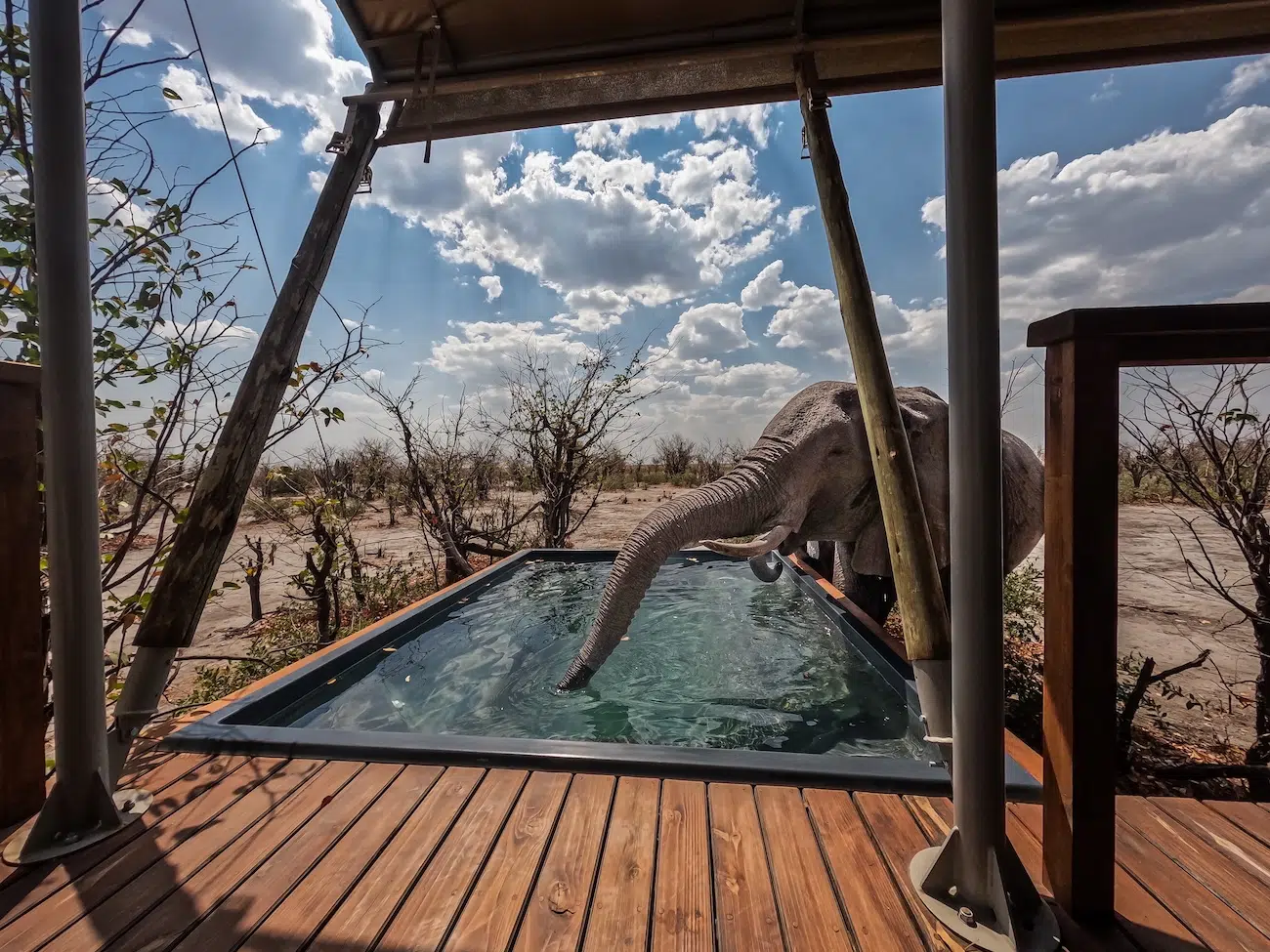 Winners of the 2026 WPNA Awards