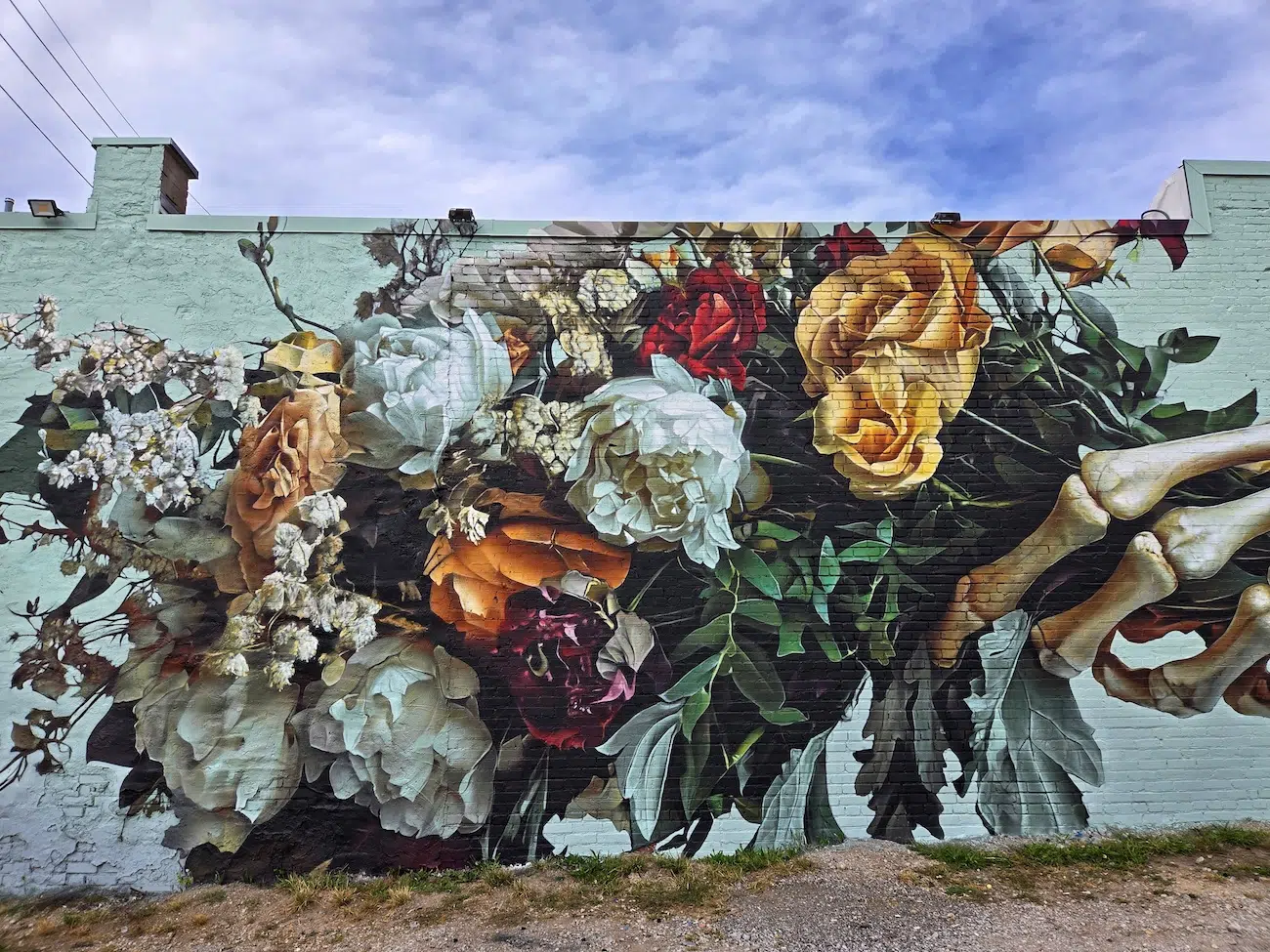 SpraySeeMo in Kansas City, MO