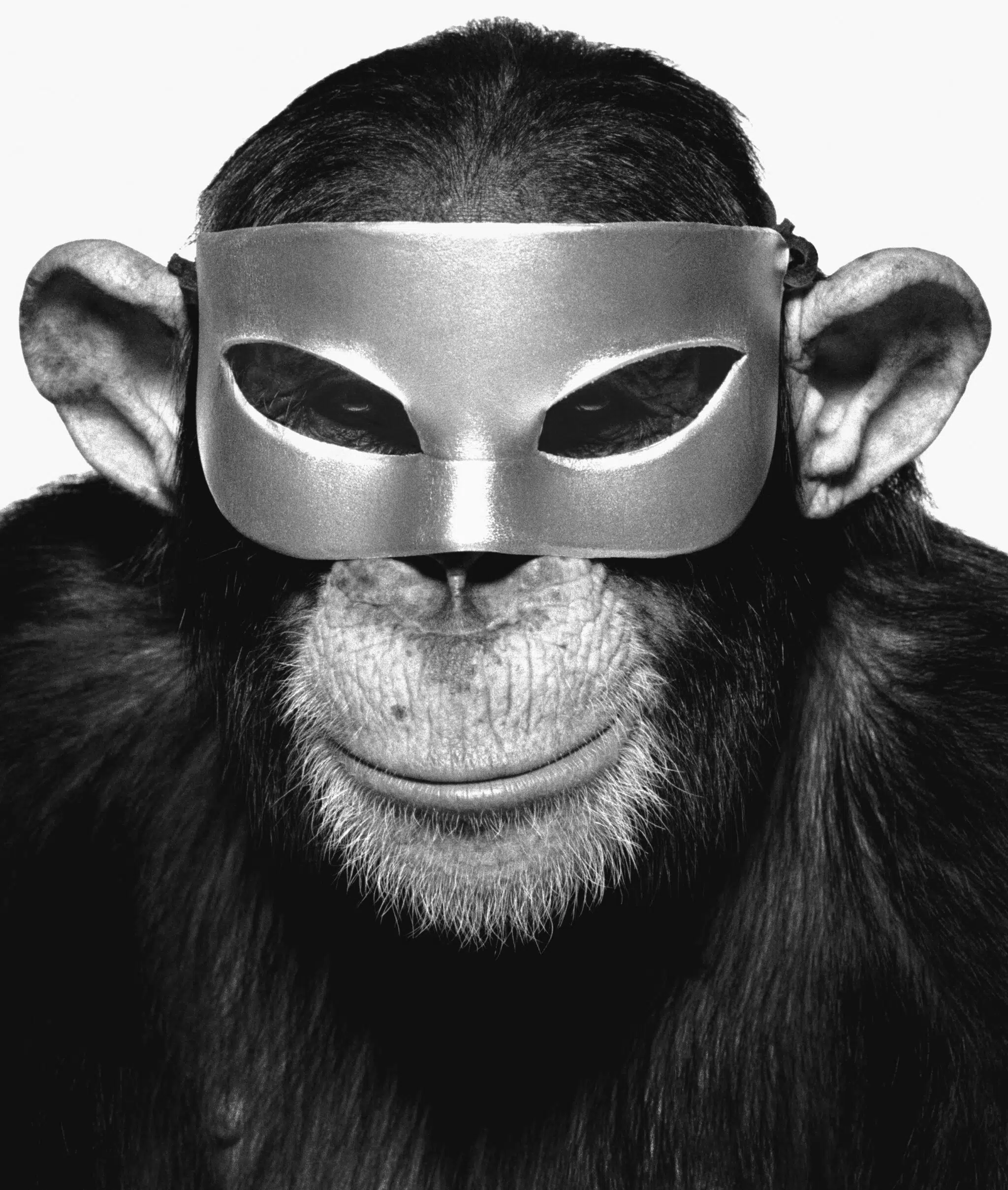 &ldquo;Monkey with Mask,&rdquo; New York City, 1992