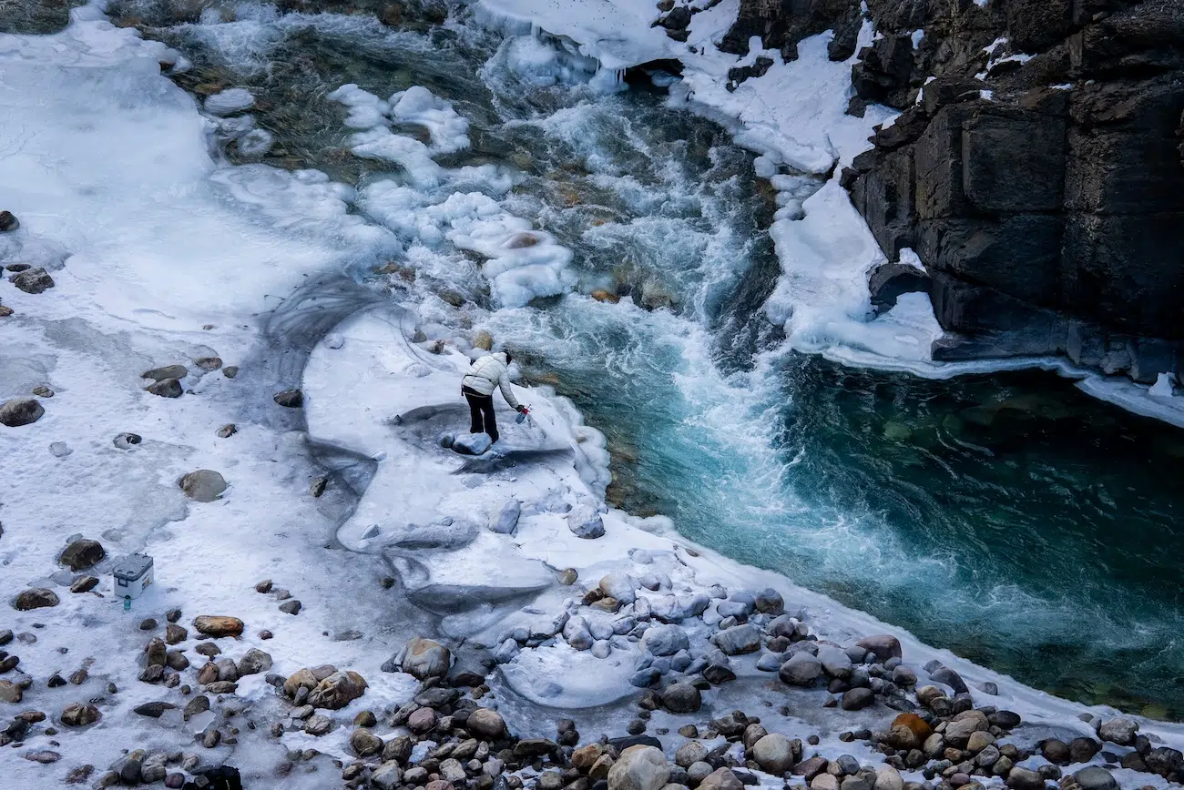 David Popa Land Mural in Renewal Series