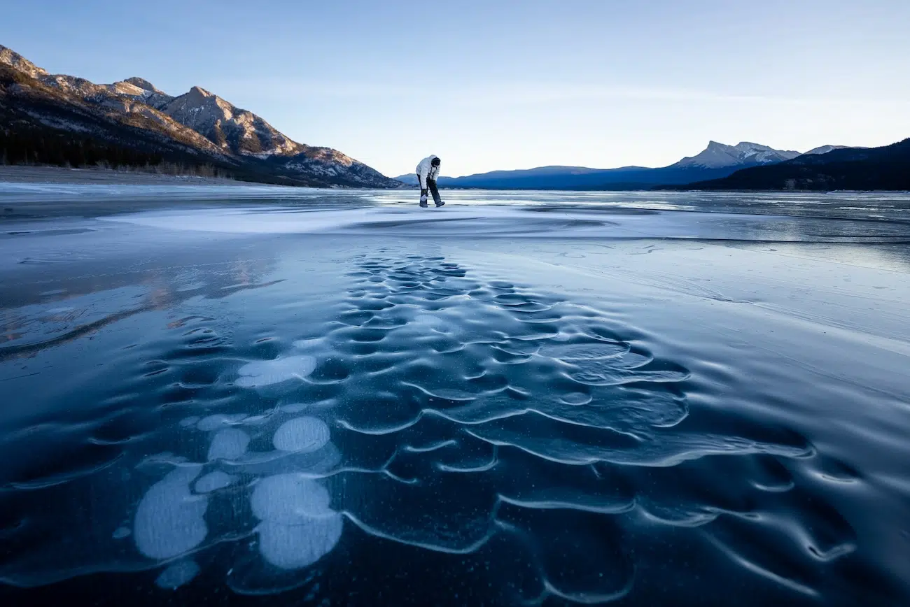 David Popa Land Mural in Renewal Series