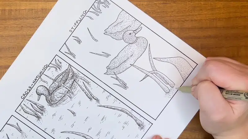 Drawing Fundamentals on My Modern Met Academy