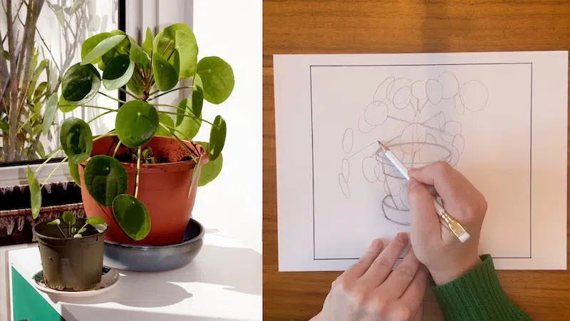 Drawing Fundamentals on My Modern Met Academy