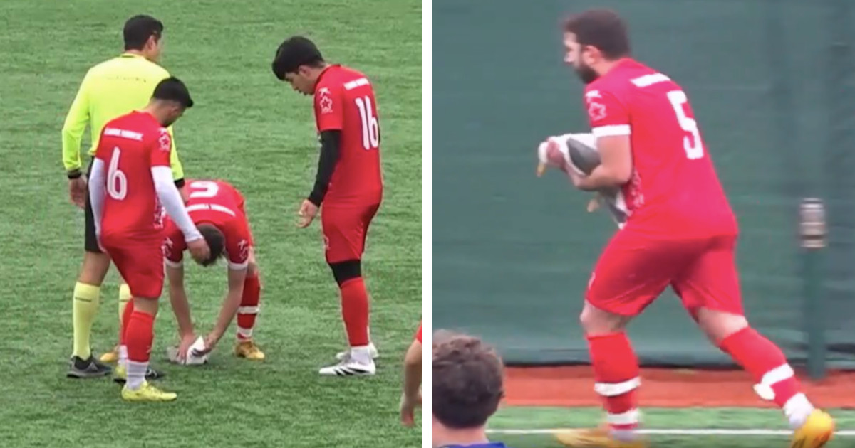 Soccer Player Rushes to Perform CPR on Seagull Hit by Ball
