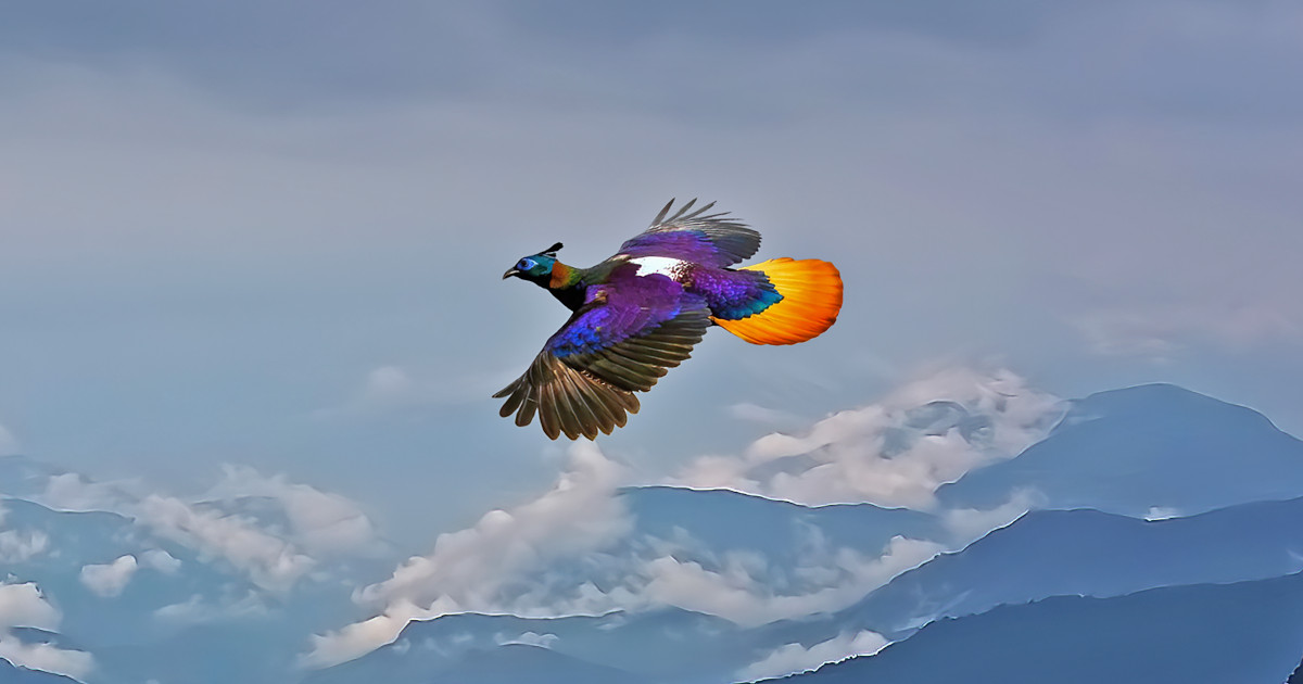 Stunning Photo Captures Vibrant Plumage of Bird Mid-Flight Over the Himalayas