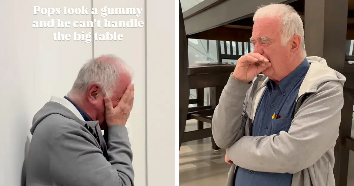 Dad Goes to Museum After Taking Gummy and Can’t Stop Laughing at Giant Art