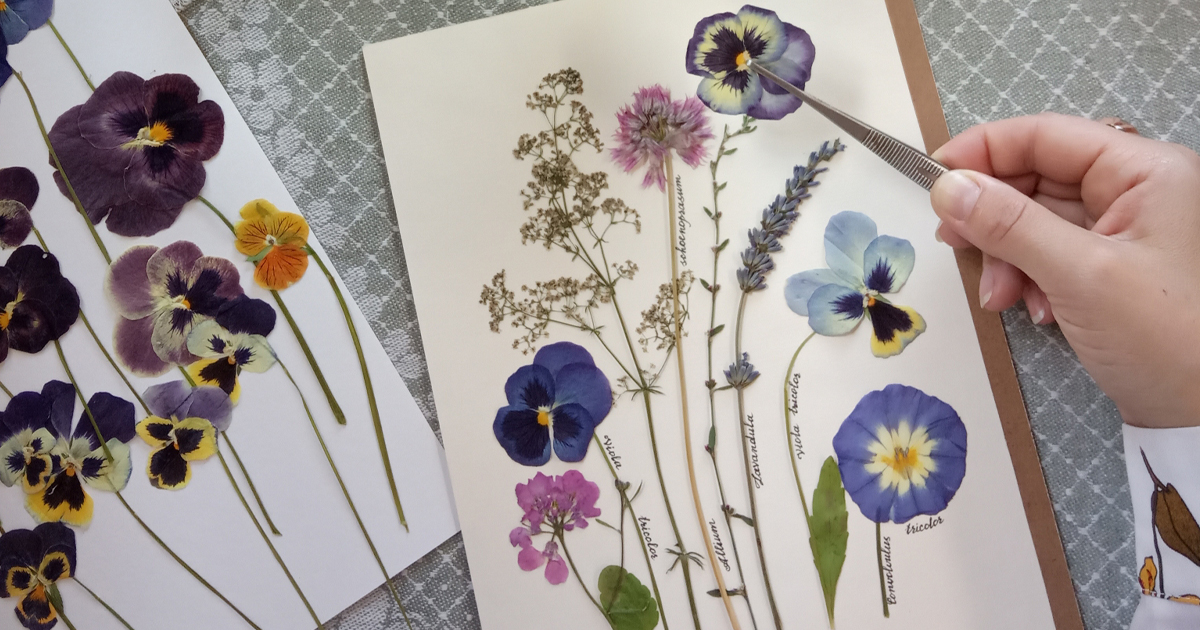 How To Turn Fresh Flowers Into Timeless Works of Botanical Art