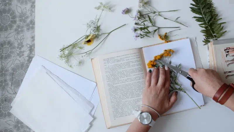 Pressed Flowers Class on My Modern Met Academy