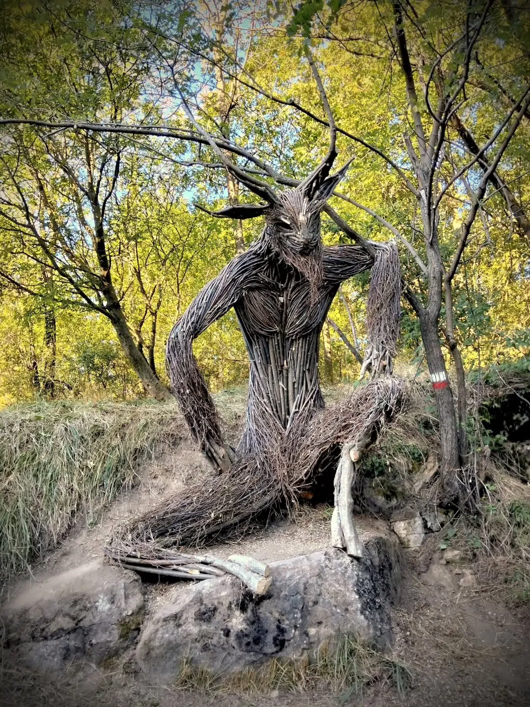 Wood and Twig Animal Sculptures by Rodolfo Liprandi
