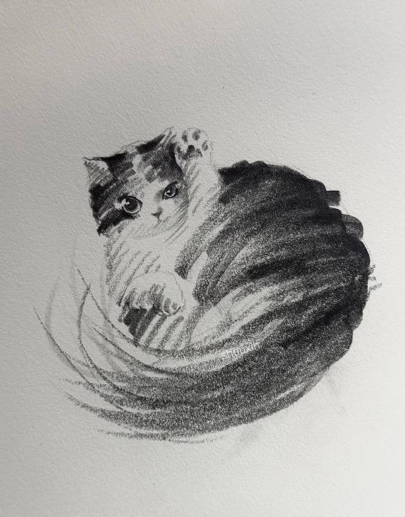 Cat Drawings by ShouXin