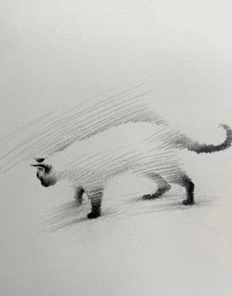 Cat Drawings by ShouXin
