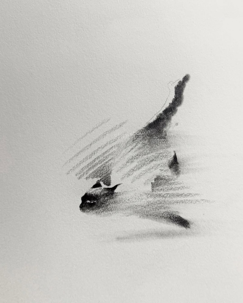 Cat Drawings by ShouXin