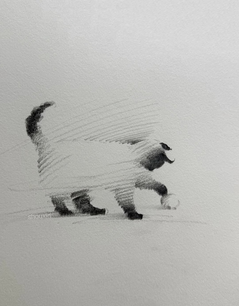 Cat Drawings by ShouXin