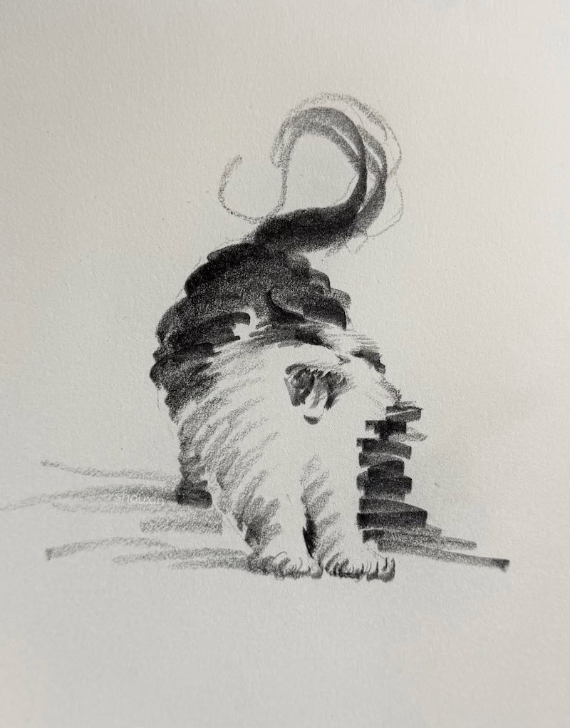 Cat Drawings by ShouXin