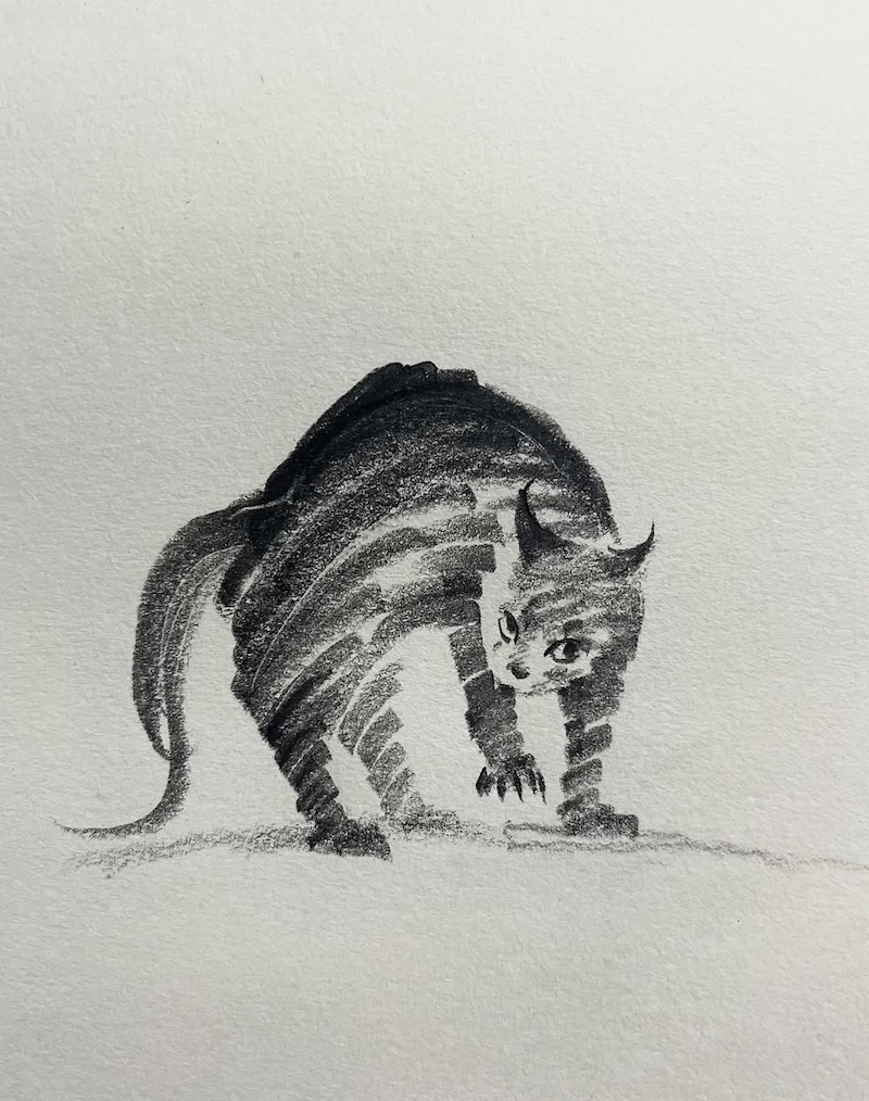 Cat Drawings by ShouXin