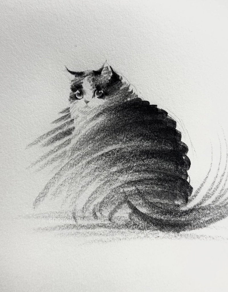 Cat Drawings by ShouXin